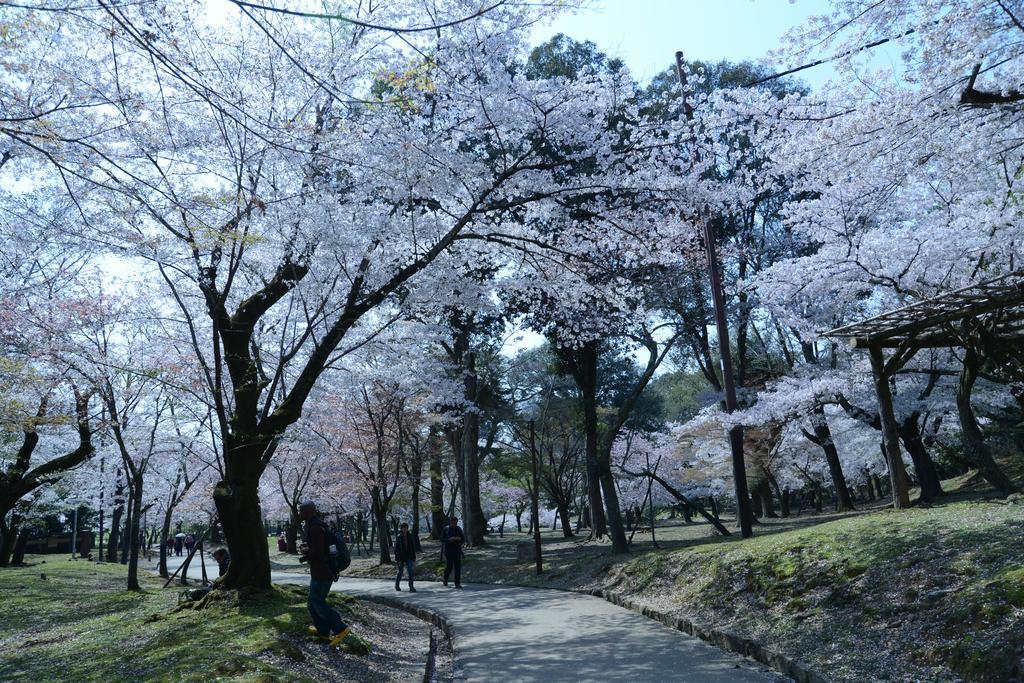 The Deer Park Inn Nara Bagian luar foto