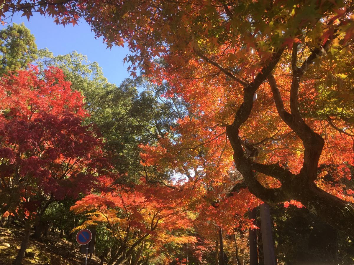 The Deer Park Inn Nara Bagian luar foto